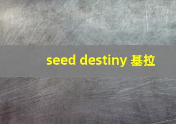 seed destiny 基拉